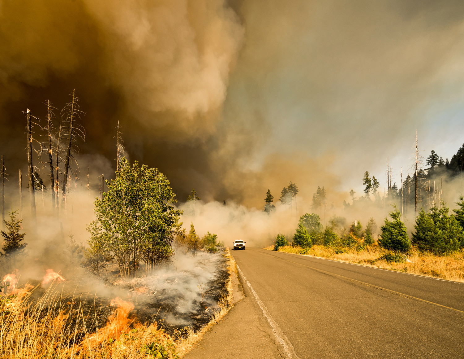 Events International Association Of Wildland Fire