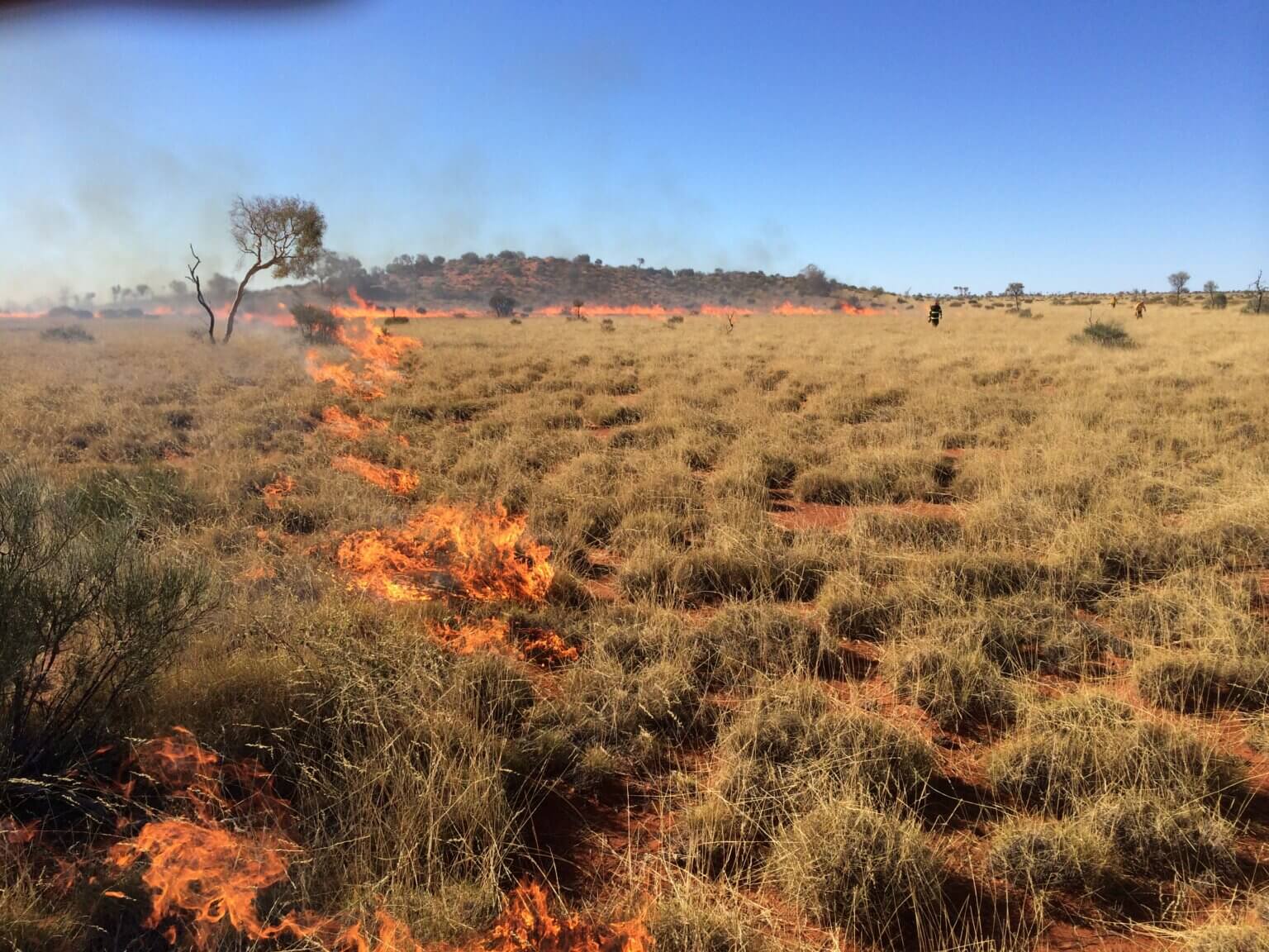 australia-fire-stick-farming-international-association-of-wildland-fire